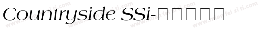 Countryside SSi字体转换